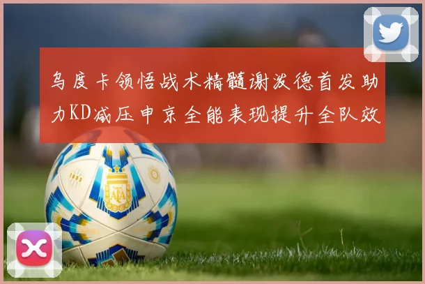 乌度卡领悟战术精髓谢泼德首发助力KD减压申京全能表现提升全队效率
