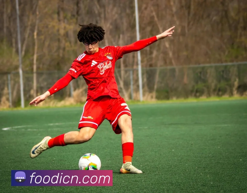 乐鱼官方站网页版登录入口，乐鱼（中国）APP 高清赛事图